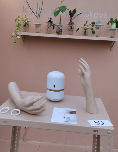 KAROLÍNA JEŘÁBKOVÁ