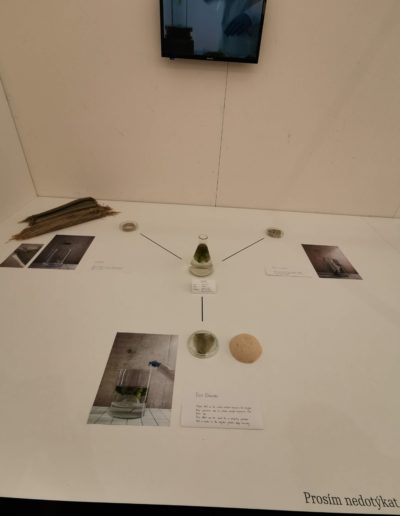 MELANIE GLOCKLER - MORSKA BAVLNA