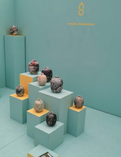 VERONIKA ŠVÁBENÍKOVÁ